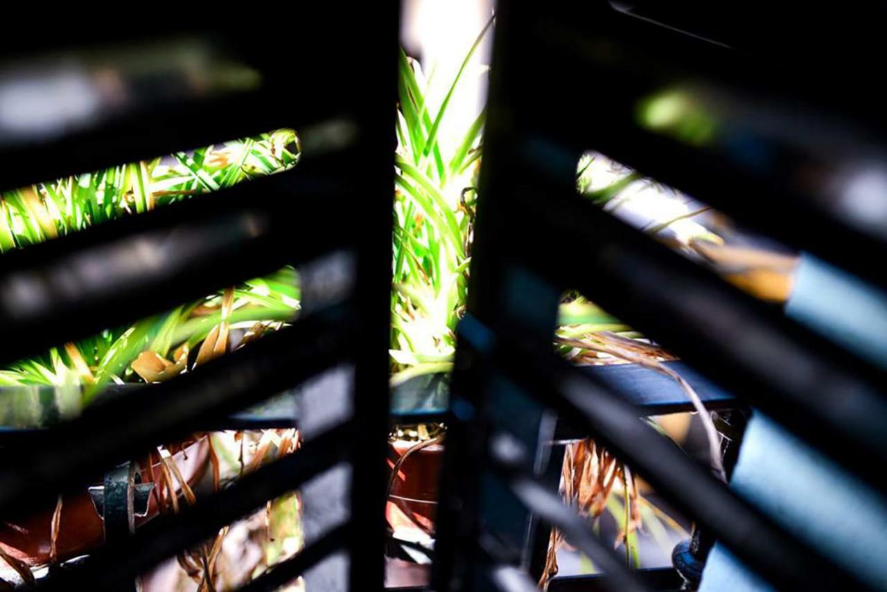 Casa Alfalfa 2 Dormitorios Terraza Y Solarium Privado Sevilla Dış mekan fotoğraf