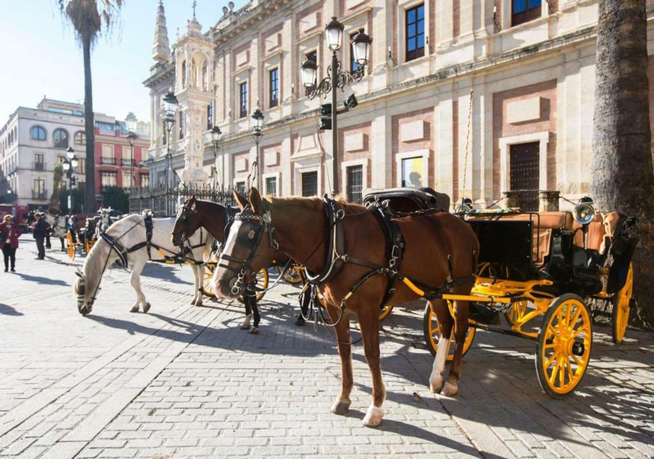 Casa Alfalfa 2 Dormitorios Terraza Y Solarium Privado Sevilla Dış mekan fotoğraf