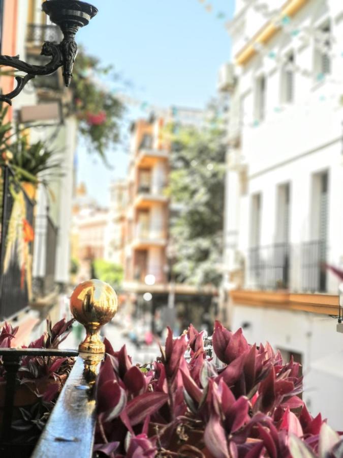 Casa Alfalfa 2 Dormitorios Terraza Y Solarium Privado Sevilla Dış mekan fotoğraf