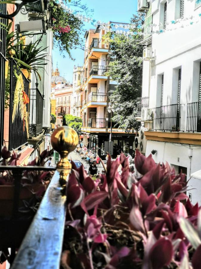 Casa Alfalfa 2 Dormitorios Terraza Y Solarium Privado Sevilla Dış mekan fotoğraf